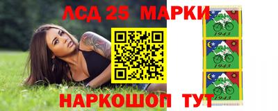 сатива Аргун