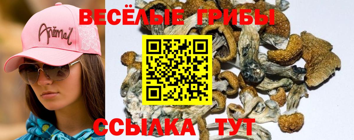 Белореченск  Галлюциногенные грибы Cubensis  Вход с VPN  Галлюциногенные грибы мухоморы 